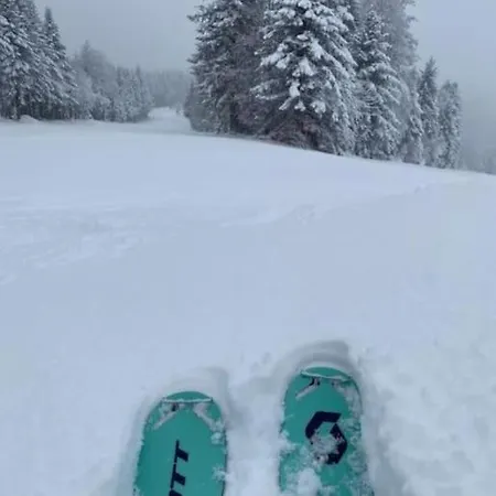 Holiday home Villa 1950 Detente Et Decouvertes Anould