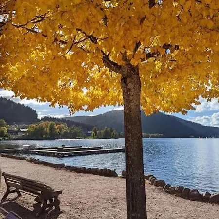 Villa 1950 Detente Et Decouvertes Anould