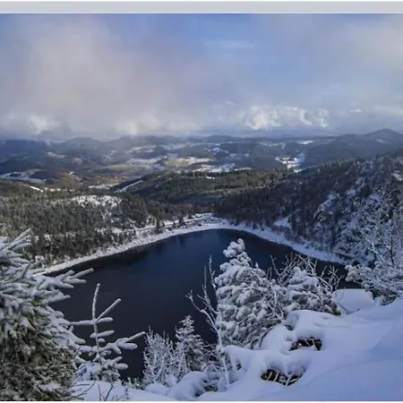 Villa 1950 Detente Et Decouvertes * Anould