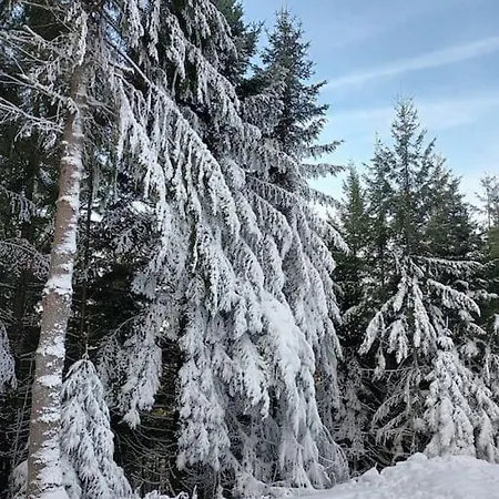 Villa 1950 Detente Et Decouvertes Holiday home