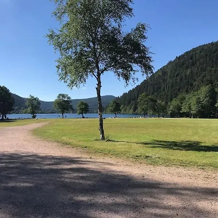 Holiday home Villa 1950 Detente Et Decouvertes Anould