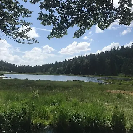 Holiday home Villa 1950 Detente Et Decouvertes Anould