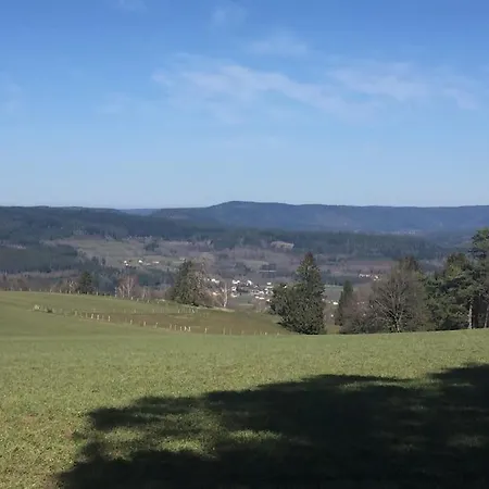 Villa 1950 Detente Et Decouvertes Anould