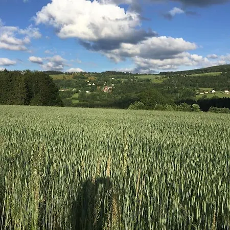 Villa 1950 Detente Et Decouvertes