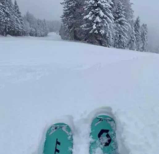 Hébergement de vacances Villa 1950 Detente Et Decouvertes Anould