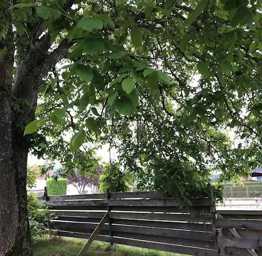 Hébergement de vacances Villa 1950 Detente Et Decouvertes