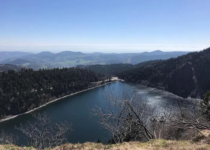 Villa 1950 Detente Et Decouvertes Hébergement de vacances Anould