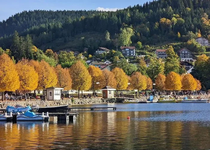 Villa 1950 Detente Et Decouvertes Anould