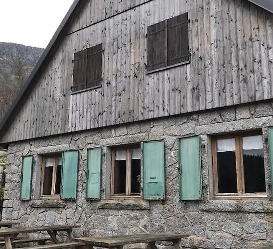 Villa 1950 Detente Et Decouvertes