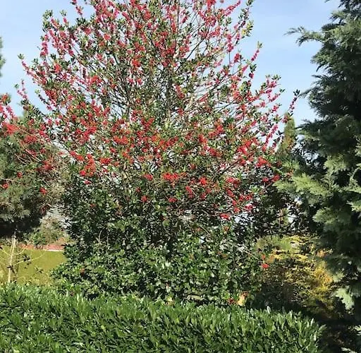 Hébergement de vacances Villa 1950 Detente Et Decouvertes