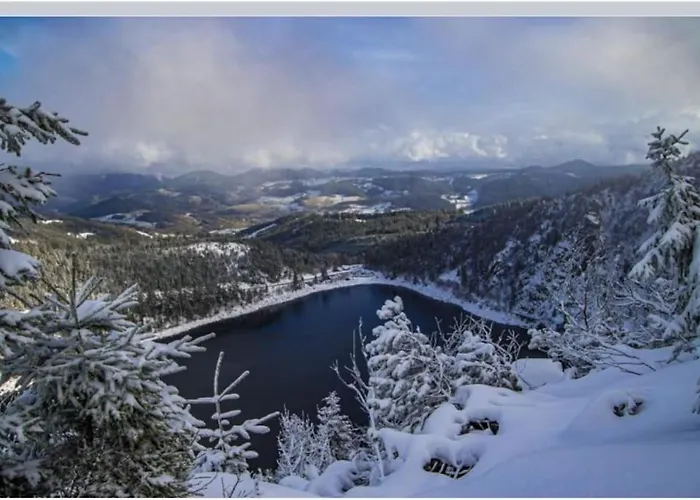 Villa 1950 Detente Et Decouvertes * Anould