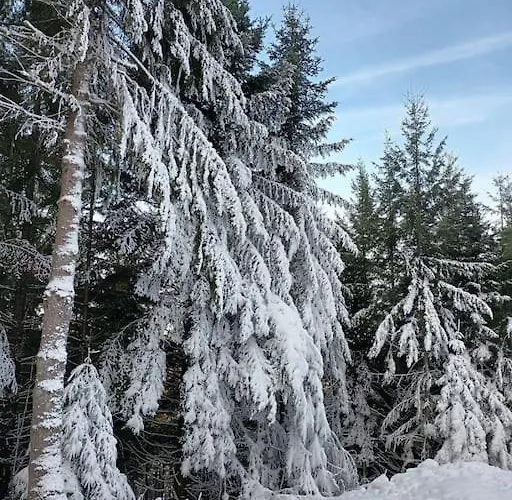 Villa 1950 Detente Et Decouvertes Hébergement de vacances