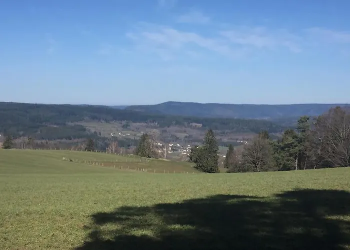 Villa 1950 Detente Et Decouvertes Anould