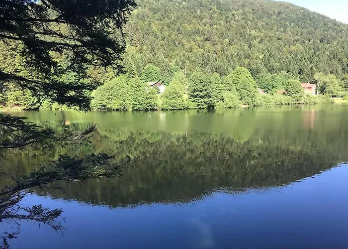 Villa 1950 Detente Et Decouvertes Hébergement de vacances *